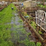 Winter is a busy time for gardeners